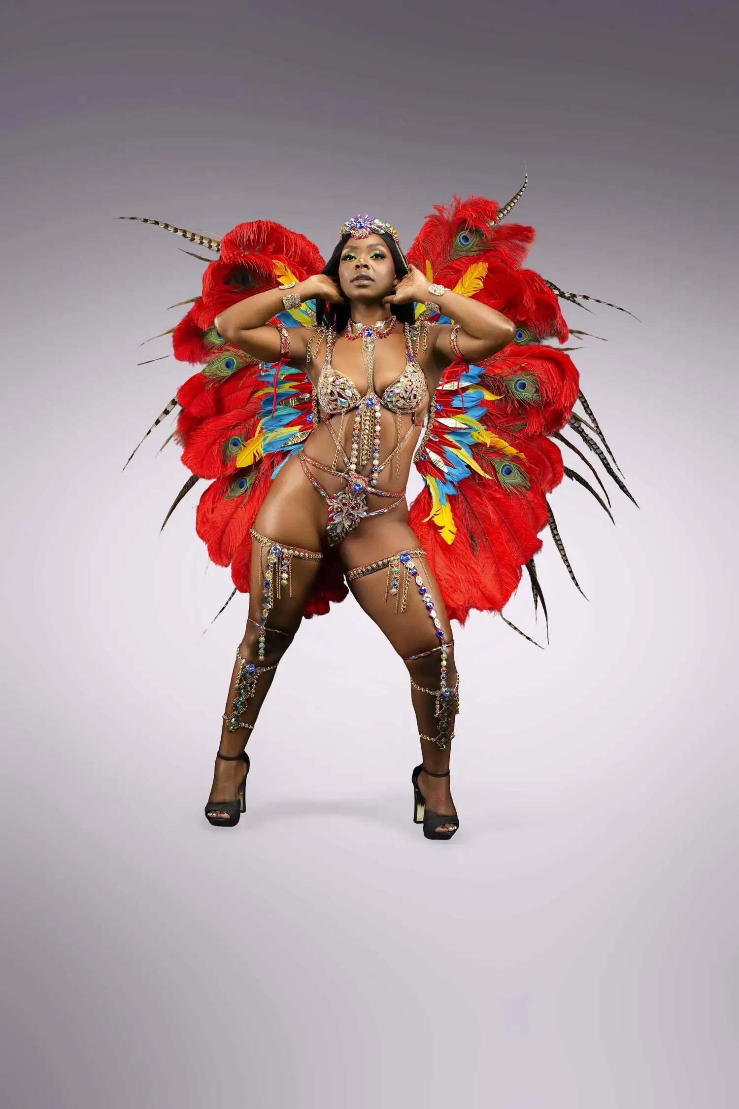 Alexander Birdwing costume